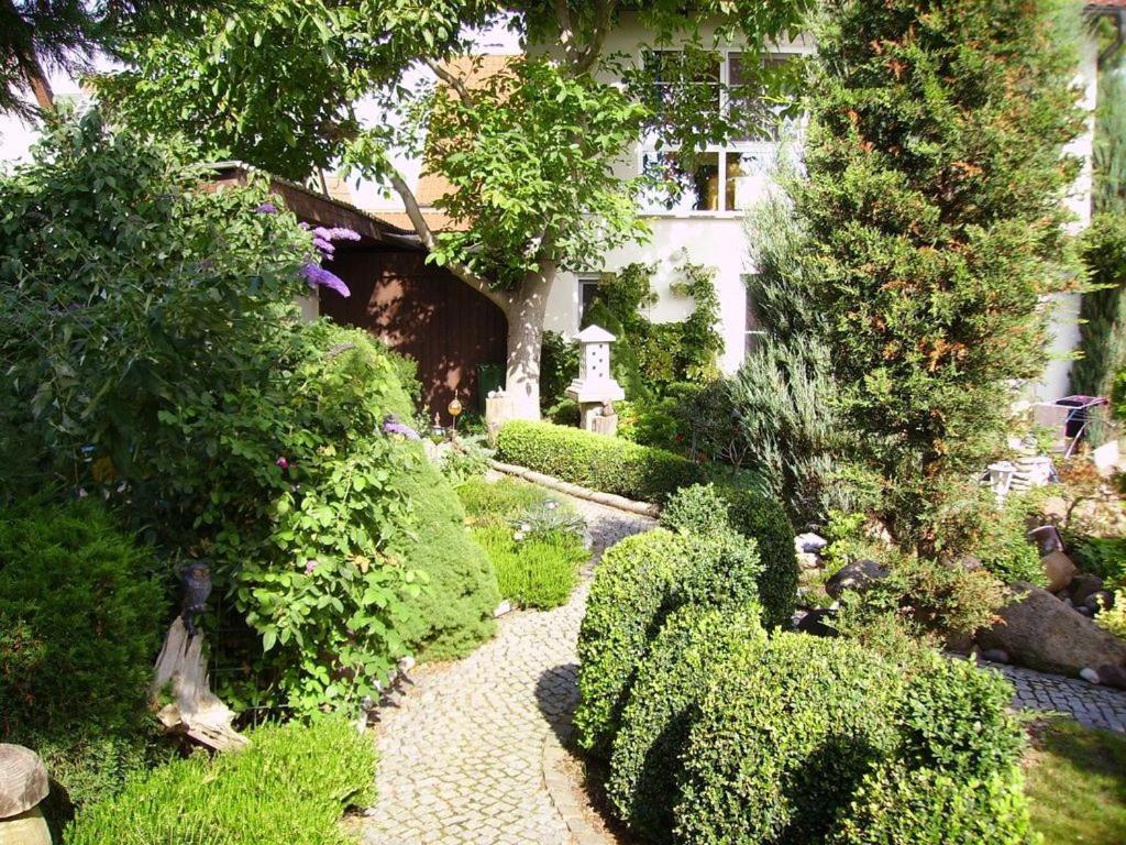 Ferienhaus-Weitblick Wohlau Exterior photo